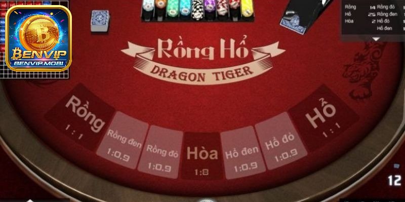 Cách đặt cược rồng hổ cơ bản