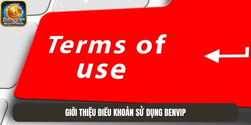 Điều khoản sử dụng Benvip cực kỳ quan trọng